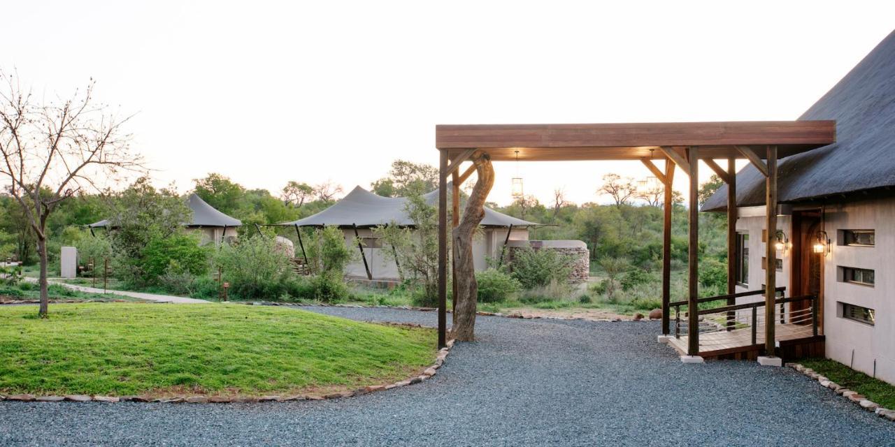 Thabamati Luxury Tented Camp Timbavati Game Reserve Bagian luar foto